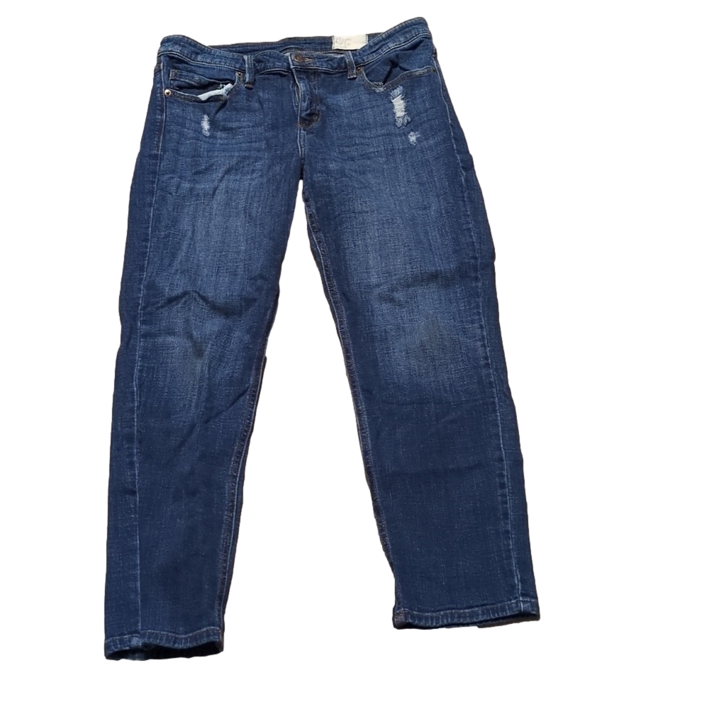 Cosmic Blue Love Distressed Skinny Ankle Jeans Size 32